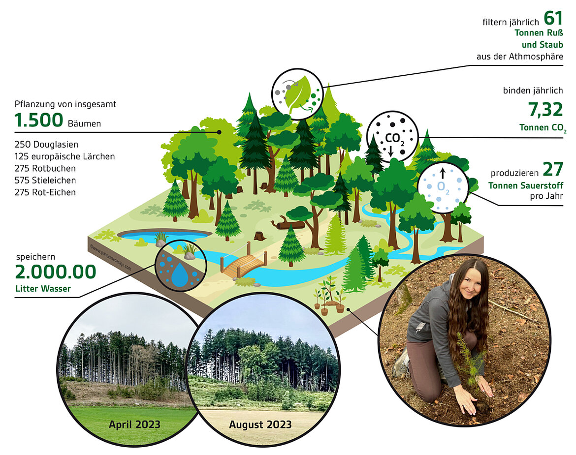 Grafik mit Kennzahlen und der positiven Wirkung des Aufforstungsprojektes auf dem 1,22 Hektar großen Waldstück bei Cham